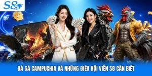 Đá Gà Campuchia Và Những Điều Hội Viên S8 Cần Biết