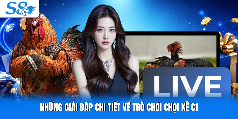 Những giải đáp chi tiết về trò chơi chọi kê C1