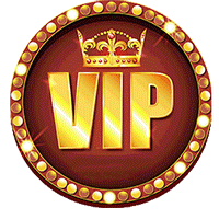 vip